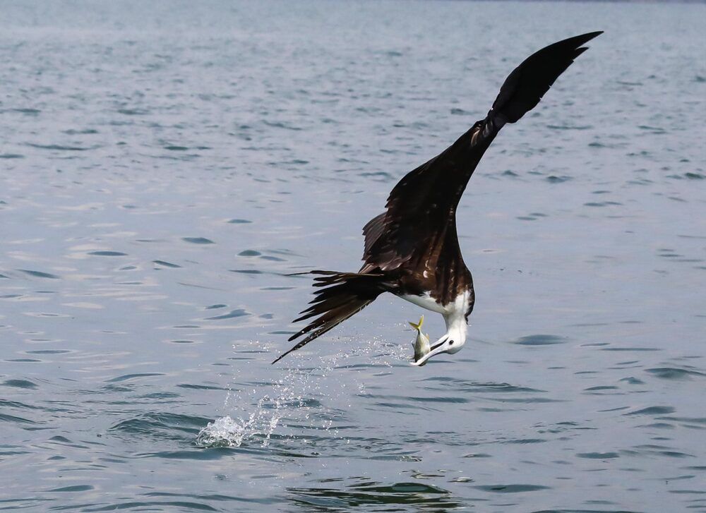 Photograph by Frank cobo blanco