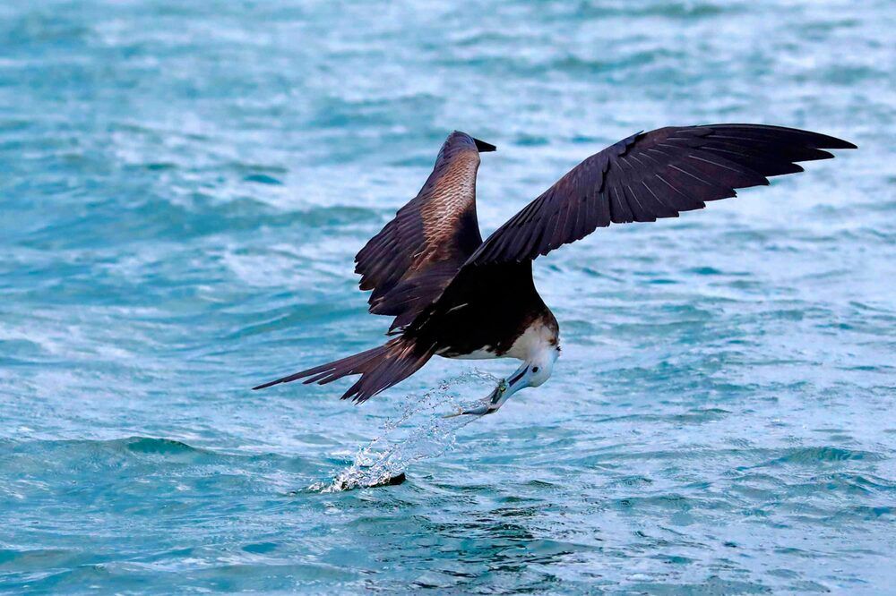 Photograph by Frank cobo blanco