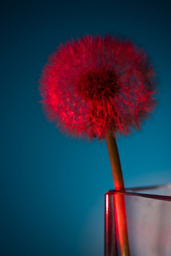 Фотография автора Войнов Дмитрий