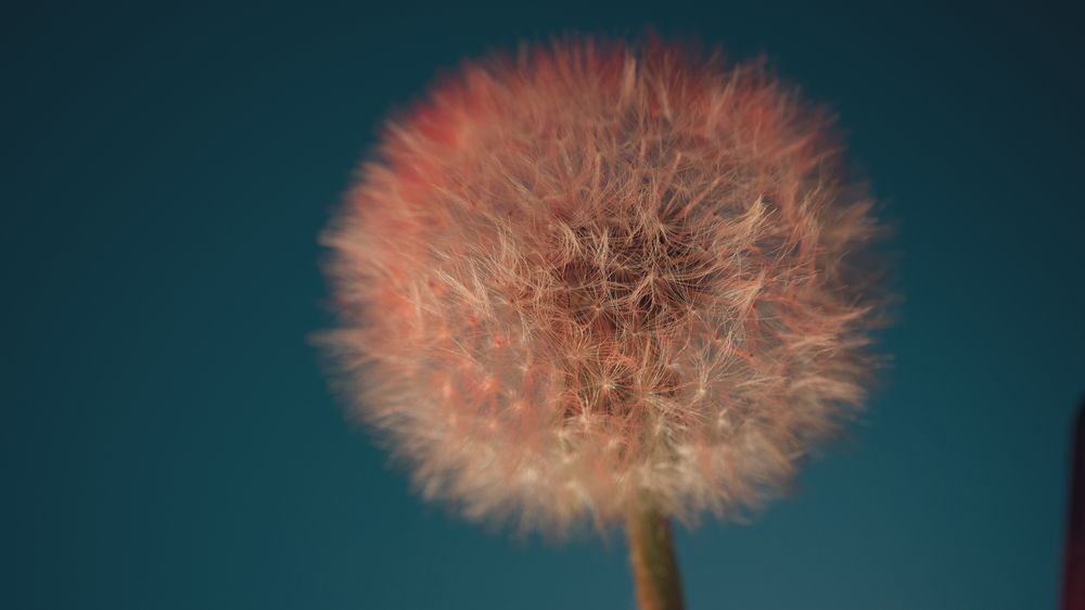Фотография автора Войнов Дмитрий