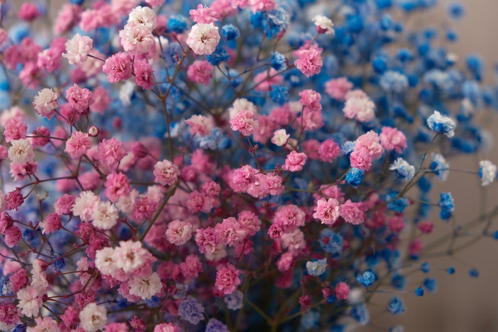 Photograph by Яна Истоцкая