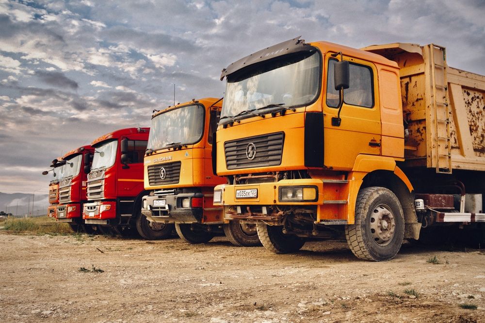 Photograph by Алина Сухова