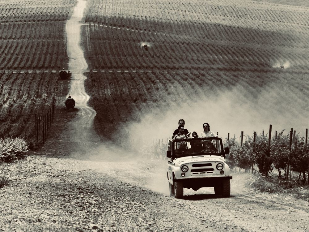 Photograph by Алина Сухова