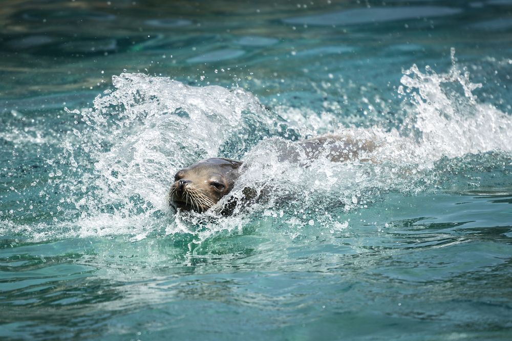 Photograph by Tamara Lebón Sánchez