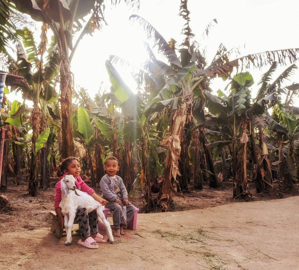 Photograph by Moamen Khaled