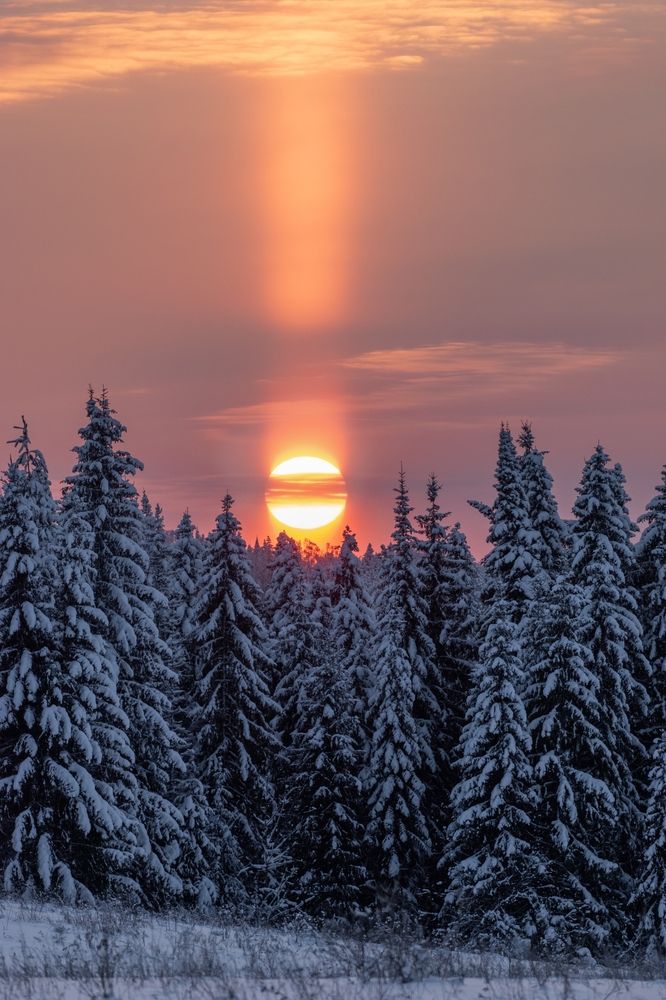 Photograph by Дарья