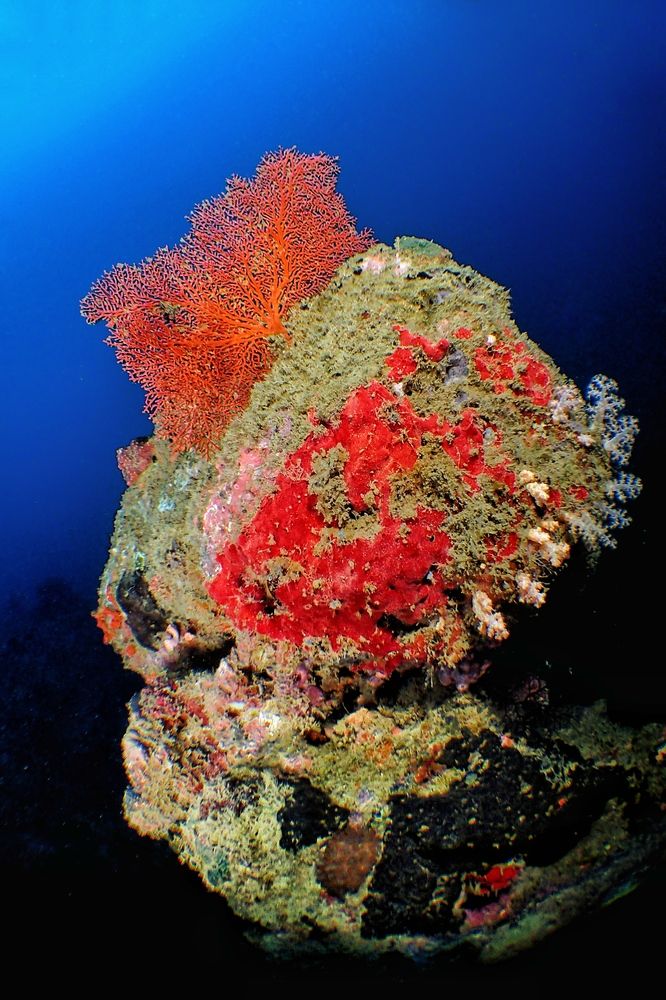 Photograph by Penn De Los Santos