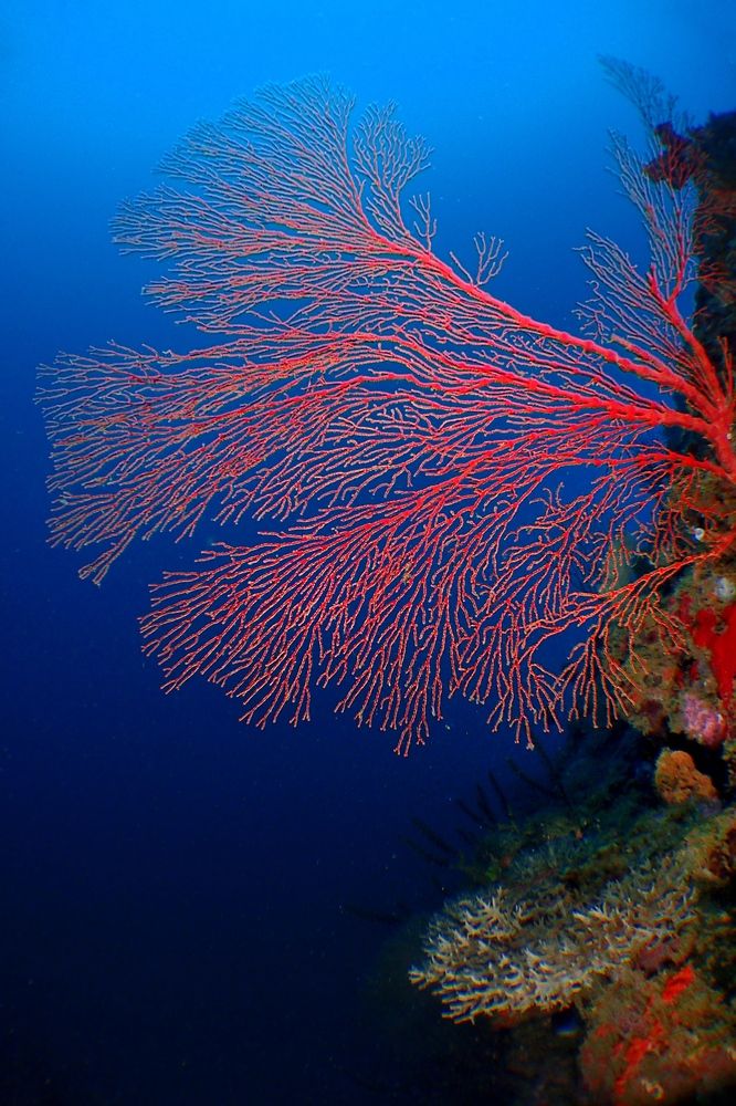 Photograph by Penn De Los Santos