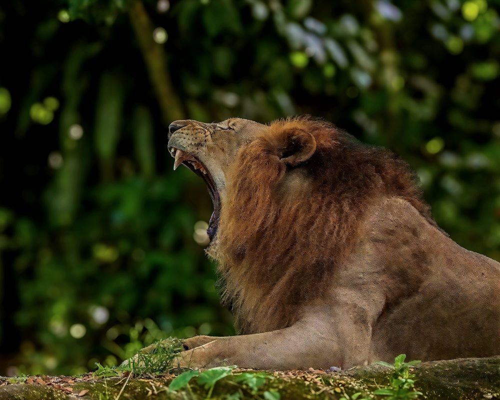 Photograph by Protik Banerjee