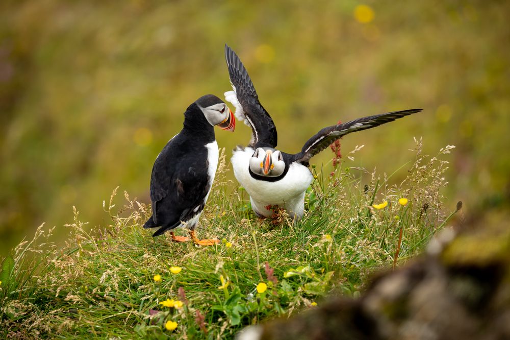 Photograph by Евгения Чех