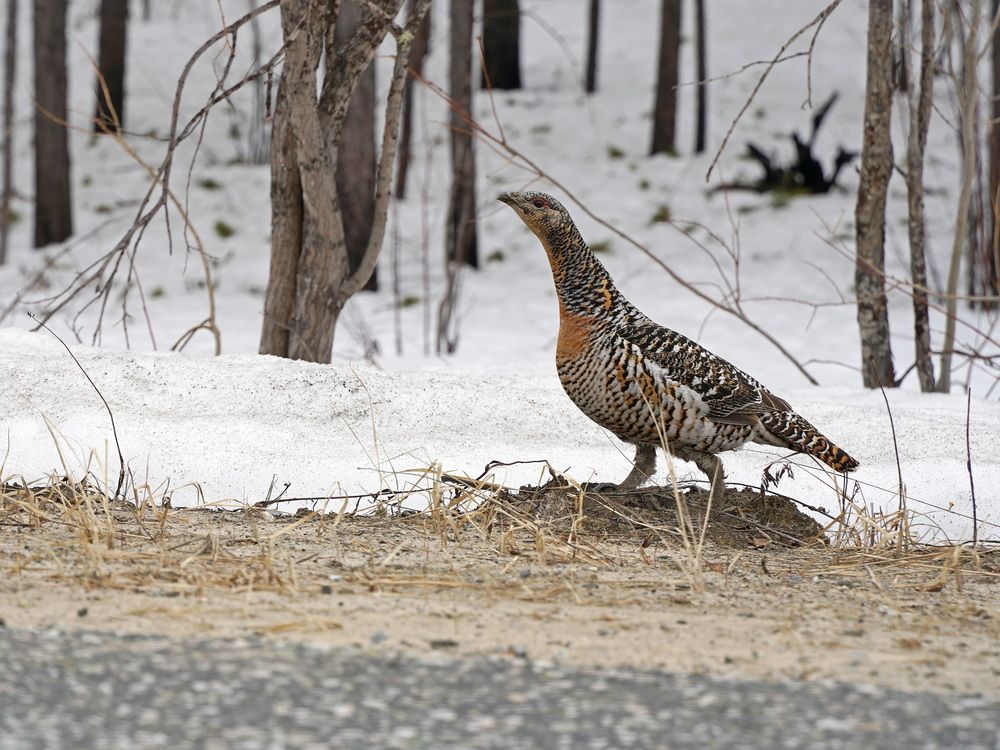Photograph by Alexandr Klyuev