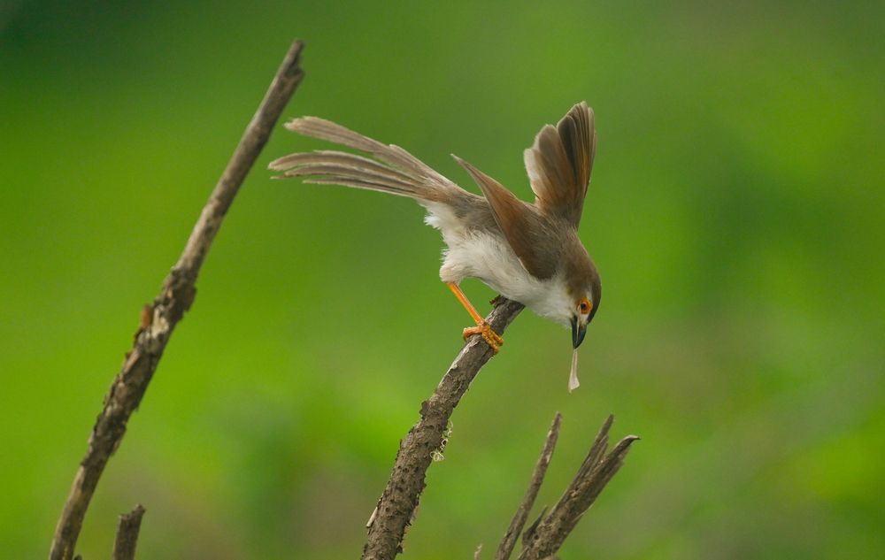 Photograph by Bhavesh Babre