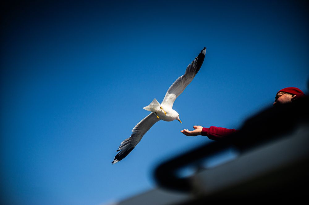 Photograph by Сергей Савченко