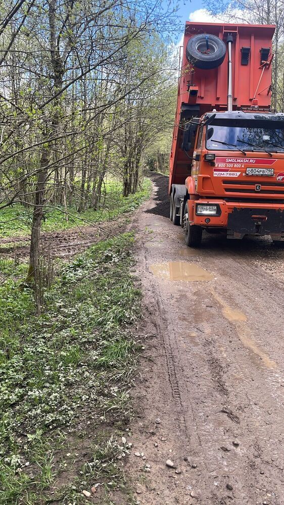 Photograph by Светлана Родионова