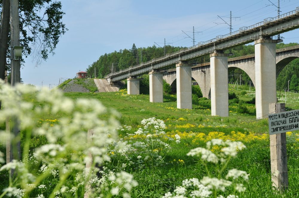 Заброшенный ж/д виадук