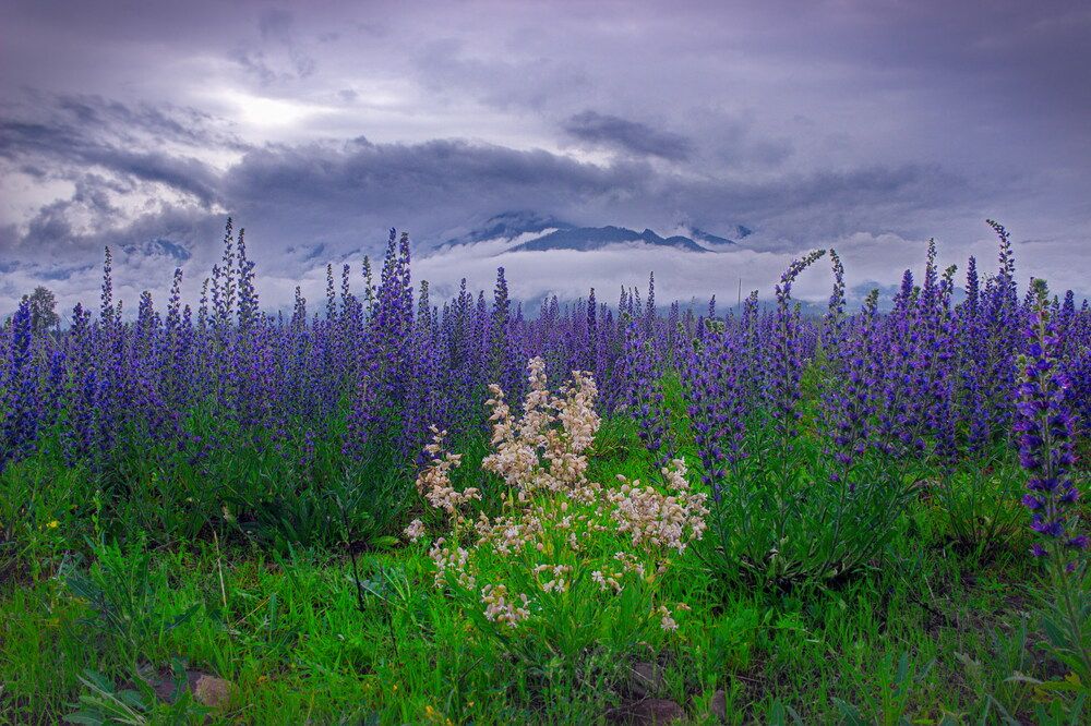 Photograph by Андрей Акентьев
