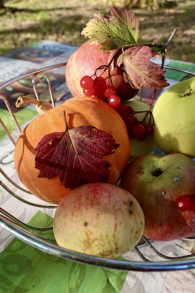 Photograph by Надежда Ткаченко