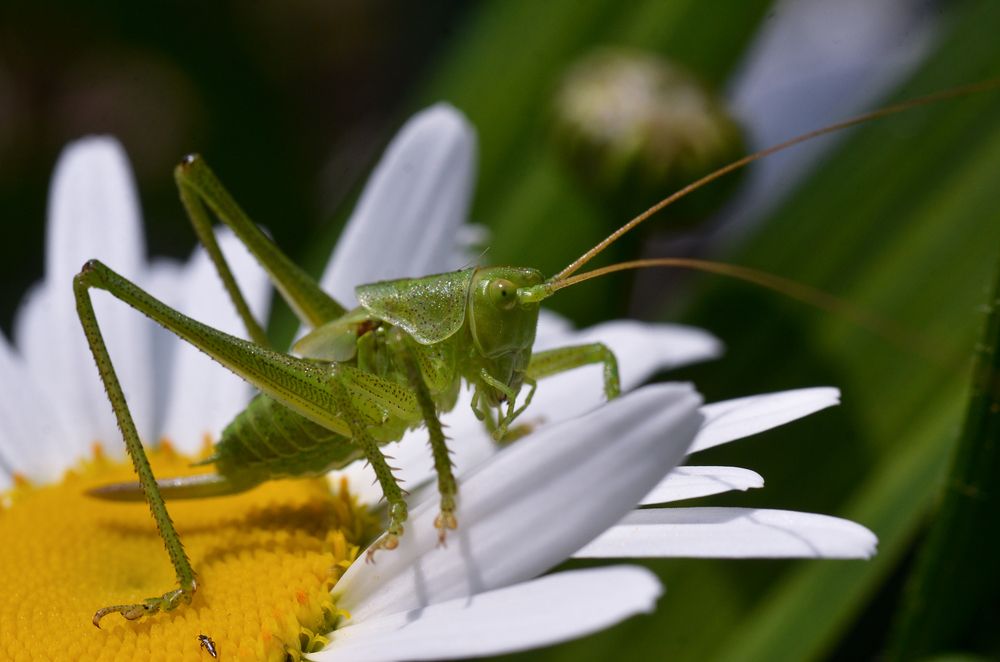 Photograph by Сергей Данилюк