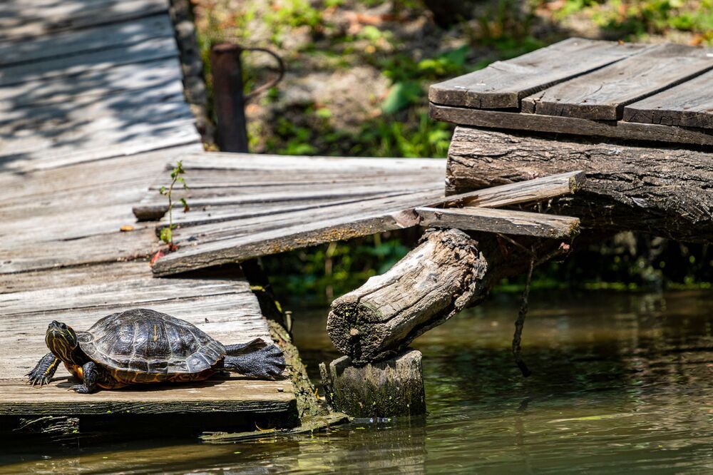 Photograph by Adelina Vasileva