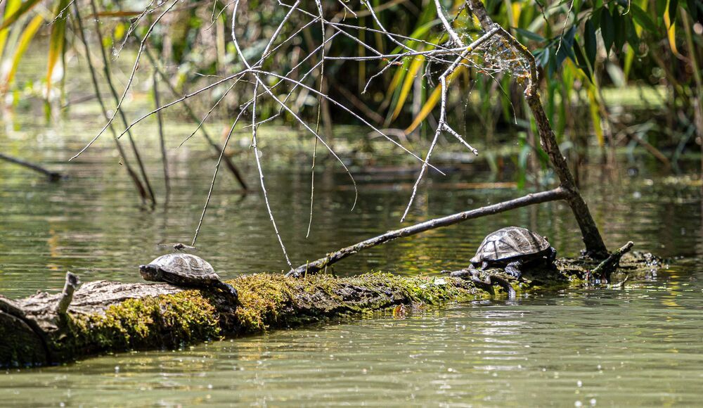 Photograph by Adelina Vasileva