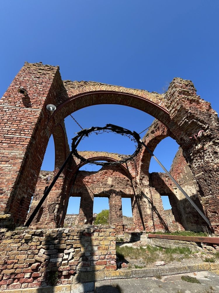 Фотография автора Виктория Ляпина