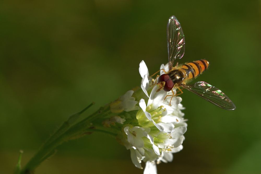 Photograph by Корнейчук Игорь