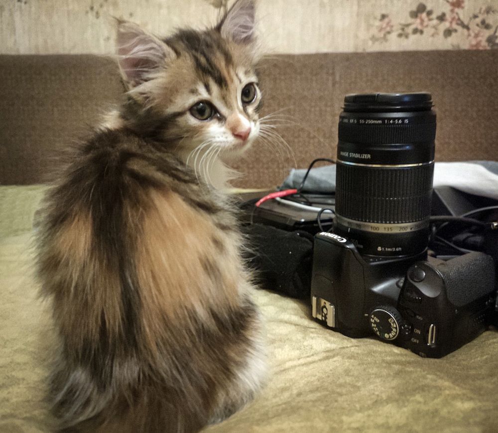 Photograph by Сергей Христинич