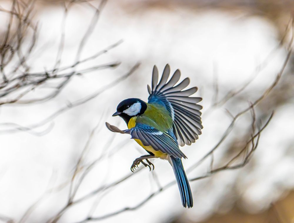 Photograph by Волынский Виктор