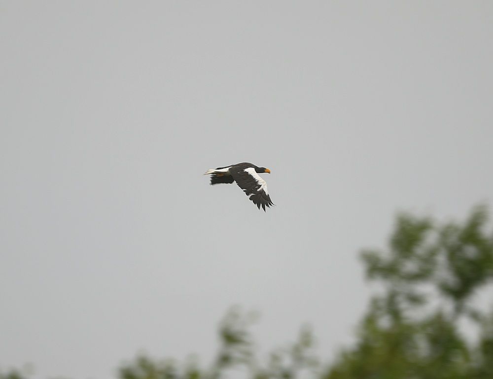 Photograph by Лариса Ким