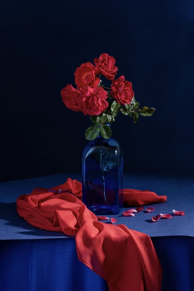 Photograph by Татьяна Зуйкова