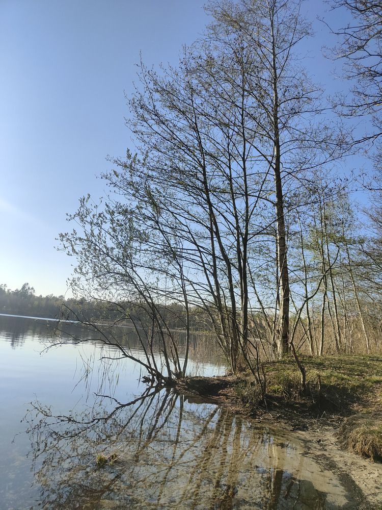 Photograph by Paulina Plonka