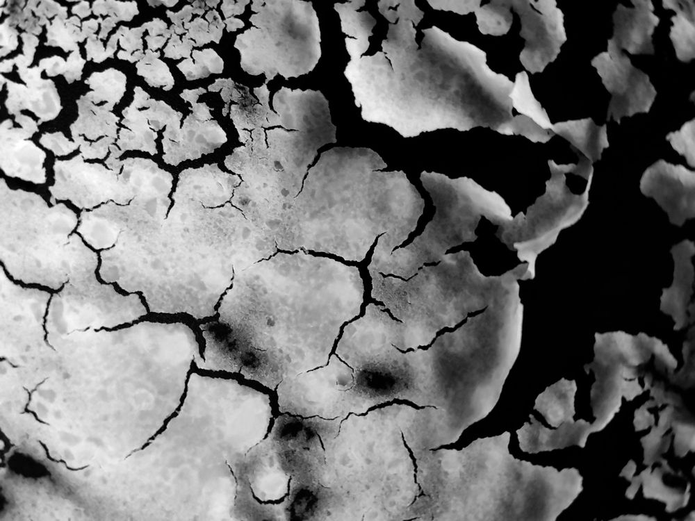 Фотография автора Андрей Данильсон