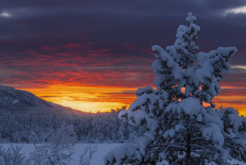 Photograph by Matteo Strassera