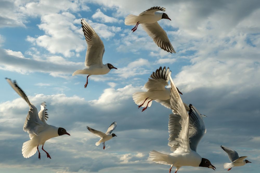 Photograph by Александр Творогов