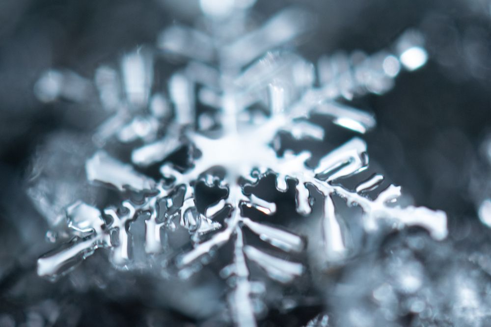 Photograph by Дмитрий Анисимов