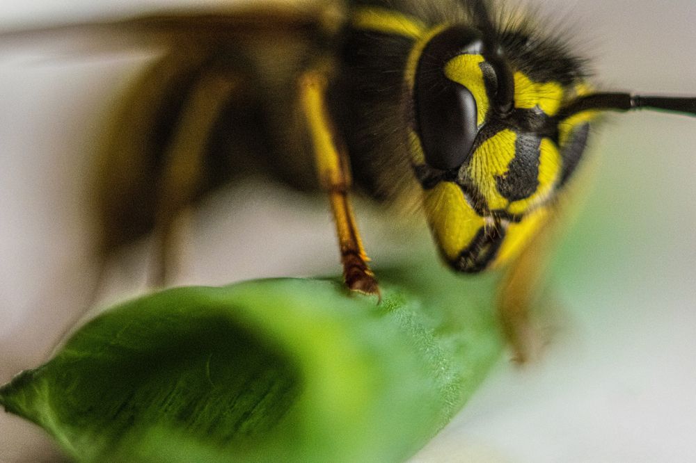 Photograph by Дмитрий Анисимов