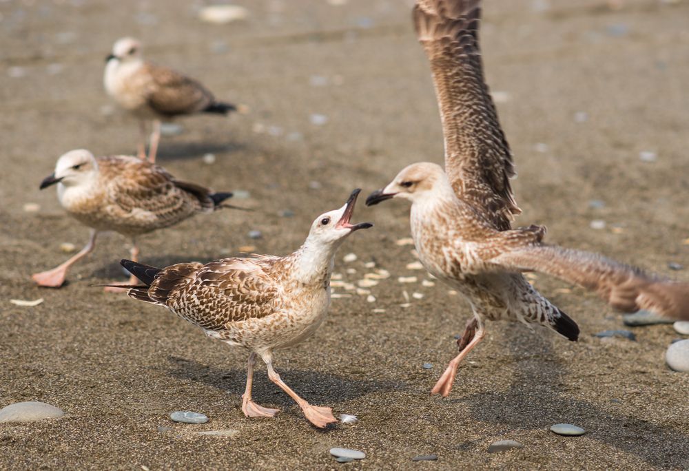 Photograph by Дария Максимова