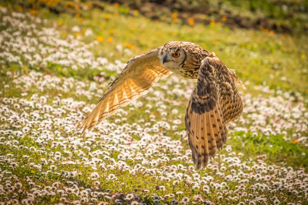 Photograph by Дария Максимова