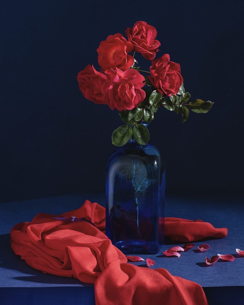 Photograph by Татьяна Зуйкова