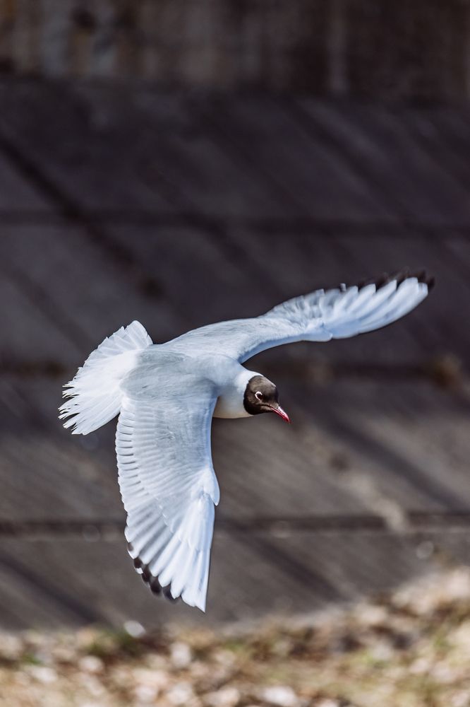 Над речной волной