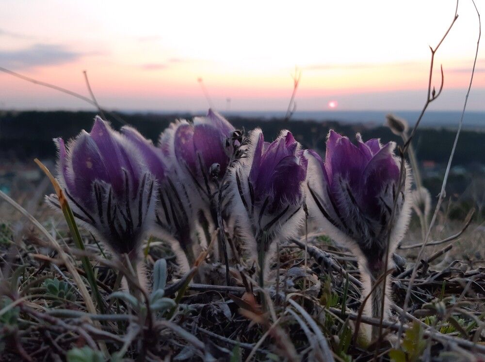 Photograph by Галина Глазкова