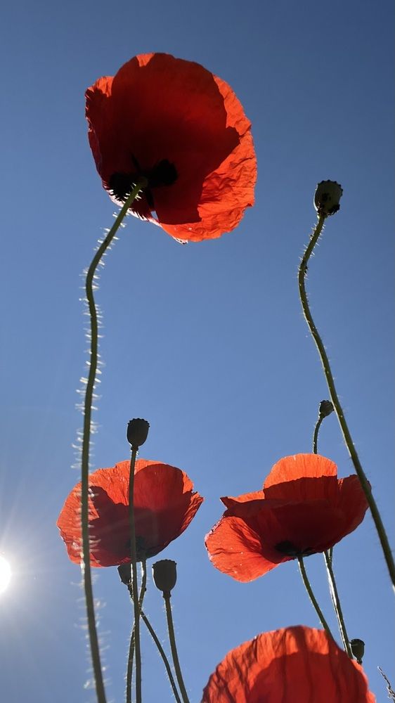 Photograph by Swetlana Lebedev