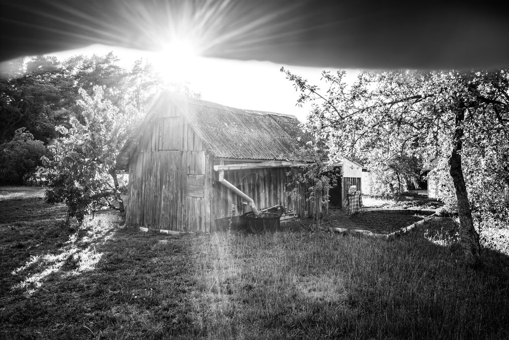Фотография автора Максим Артемович