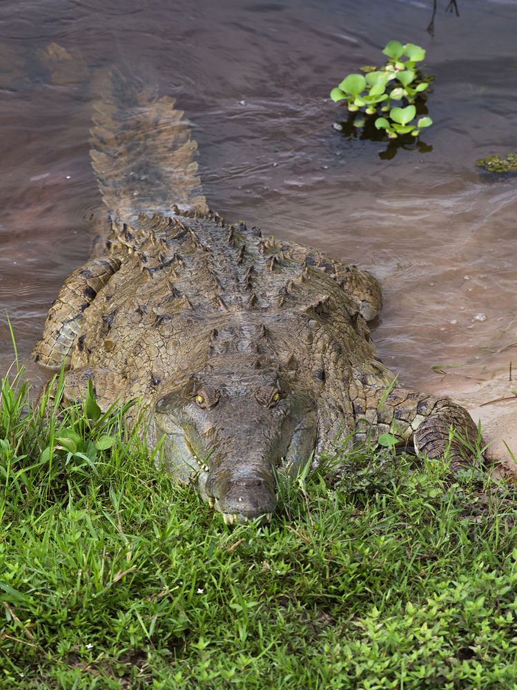 Фотография автора Дмитрий