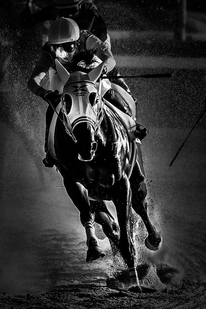 Photograph by mak takano