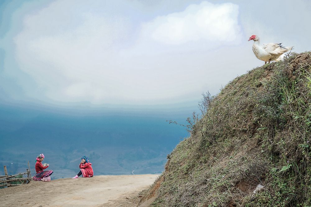 Photograph by Hoai Anh Dang