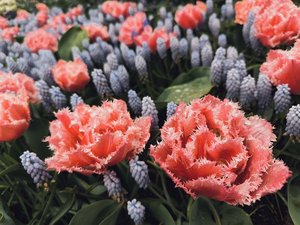 Photograph by Елена Симонова