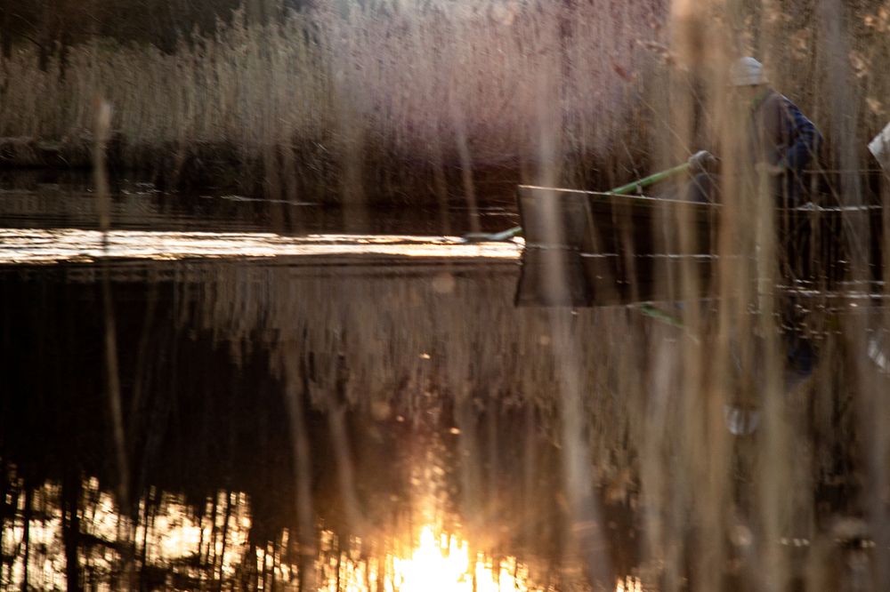 Фотография автора Tatiana Zharkova