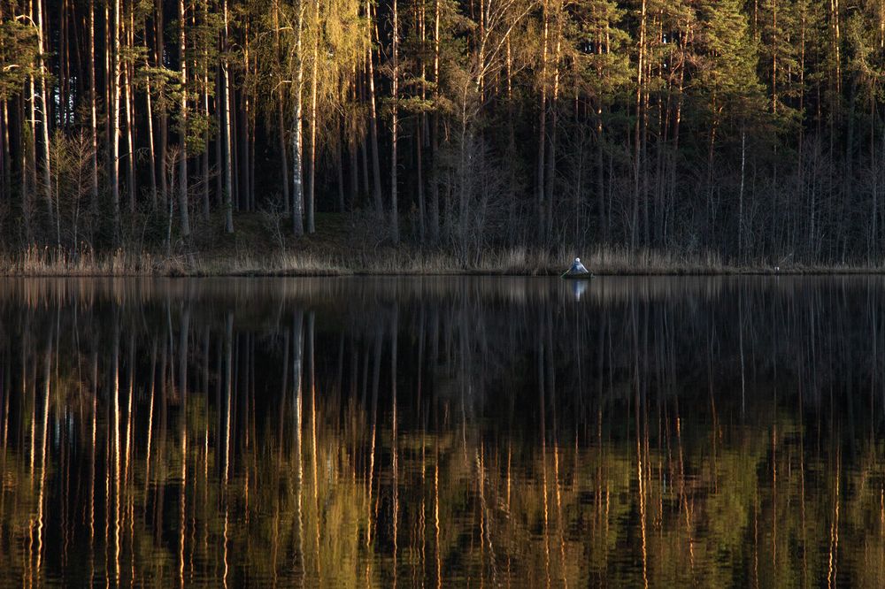 Фотография автора Tatiana Zharkova