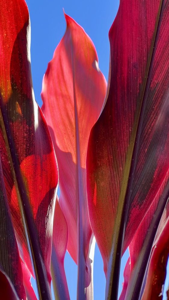 Photograph by Swetlana Lebedev